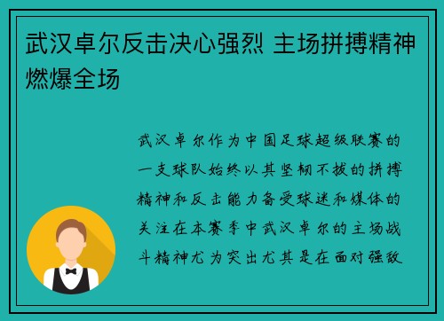 武汉卓尔反击决心强烈 主场拼搏精神燃爆全场